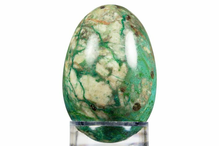 Polished Chrysocolla & Malachite Egg - Mexico #308842